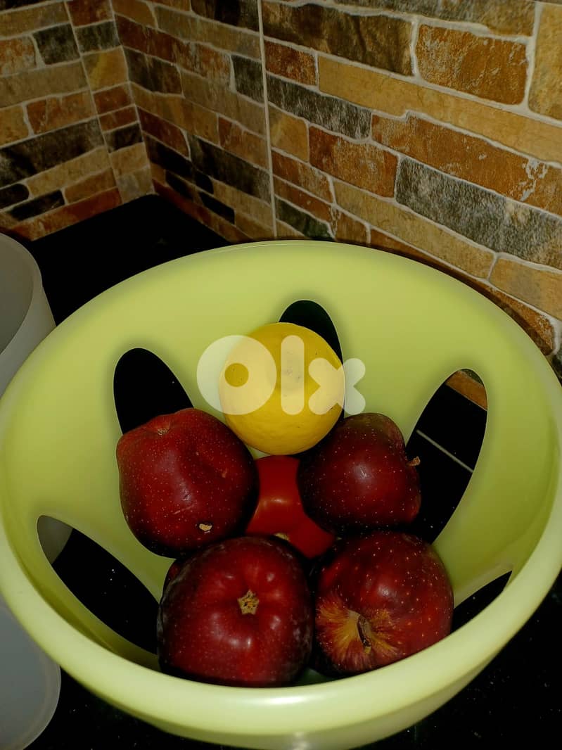 Vintage Guzzini OVO multiuse party item 2