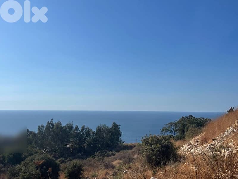 land for sale ارض للبيع 1