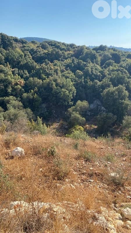 land for sale ارض للبيع 3