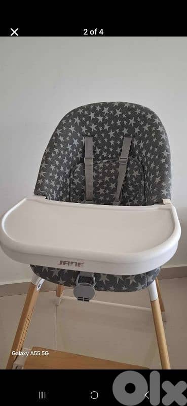 Jane Wooddy Evoltionary Highchair Star 1