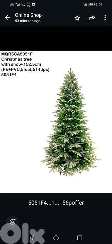 Christmas trees 1