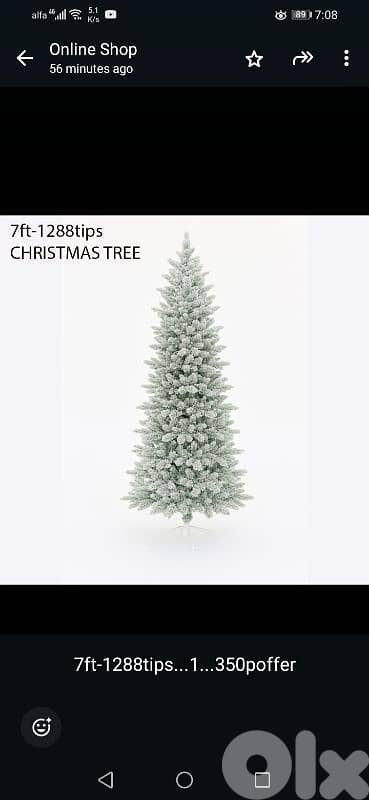 Christmas trees 4