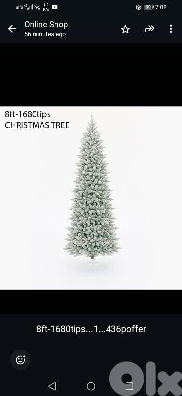 Christmas trees 6