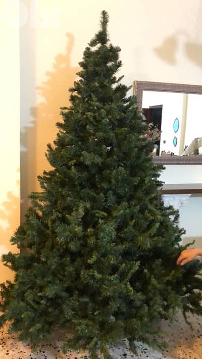 christmas tree