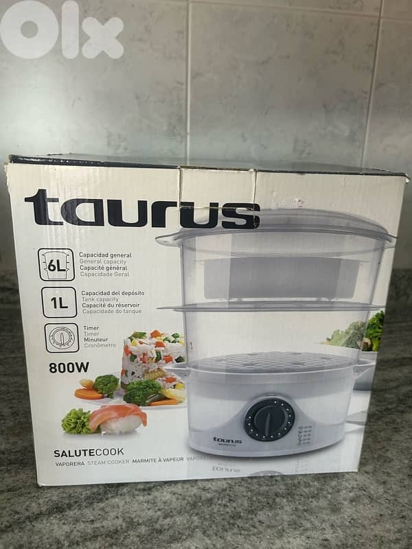 food steamer 1