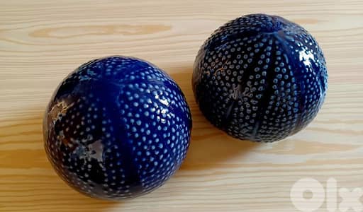 Ceramic sea urchins (توتية)