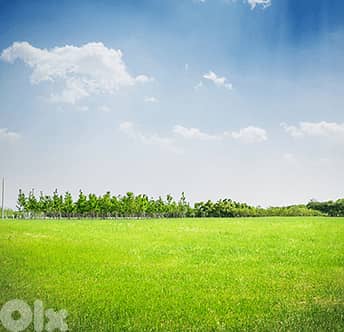 Land for Sale in Qanat Beqish