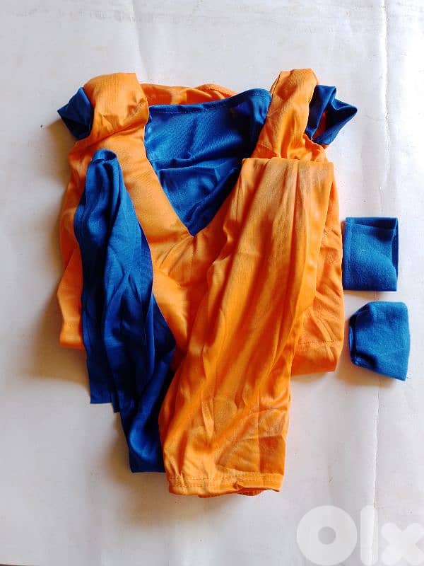 Dragon ball z  - muscle costume 1