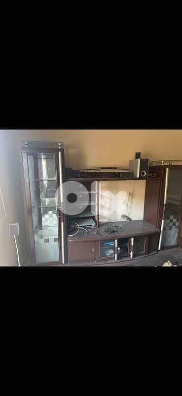 Modern Sofa Bed & Wooden TV Unit