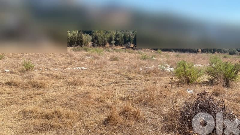 Land for Sale in Batroun  Prime 3,740 SQM land just steps from the sea 1
