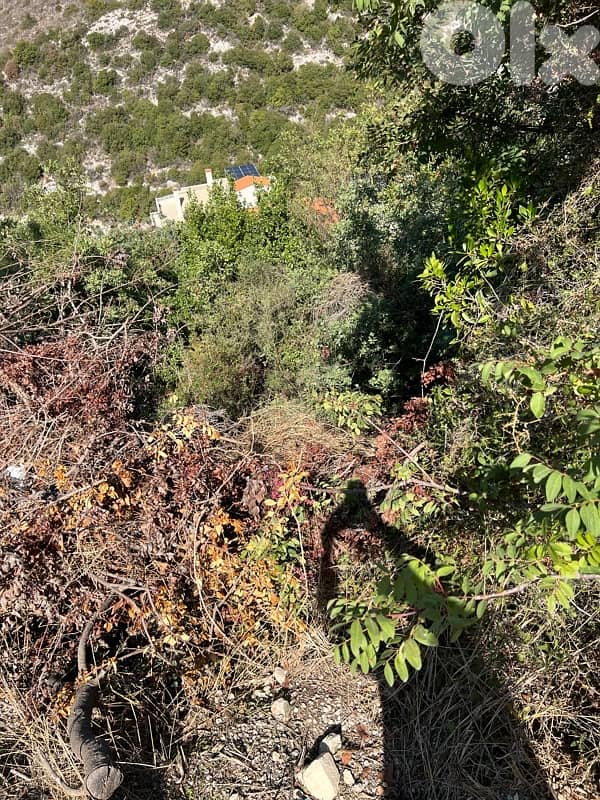 Sea View Land For Sale In New Halat 4