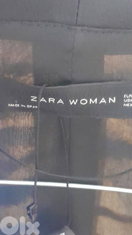 Zara Blazer modified 1