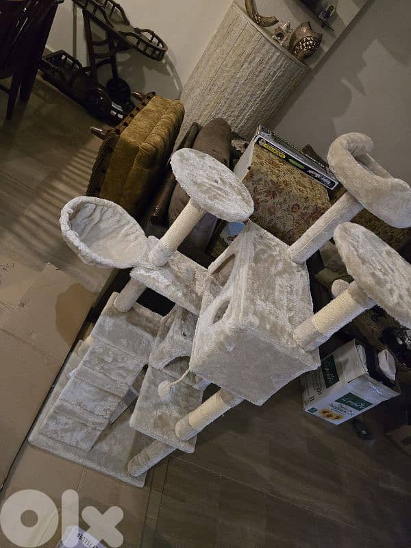 cat home 1