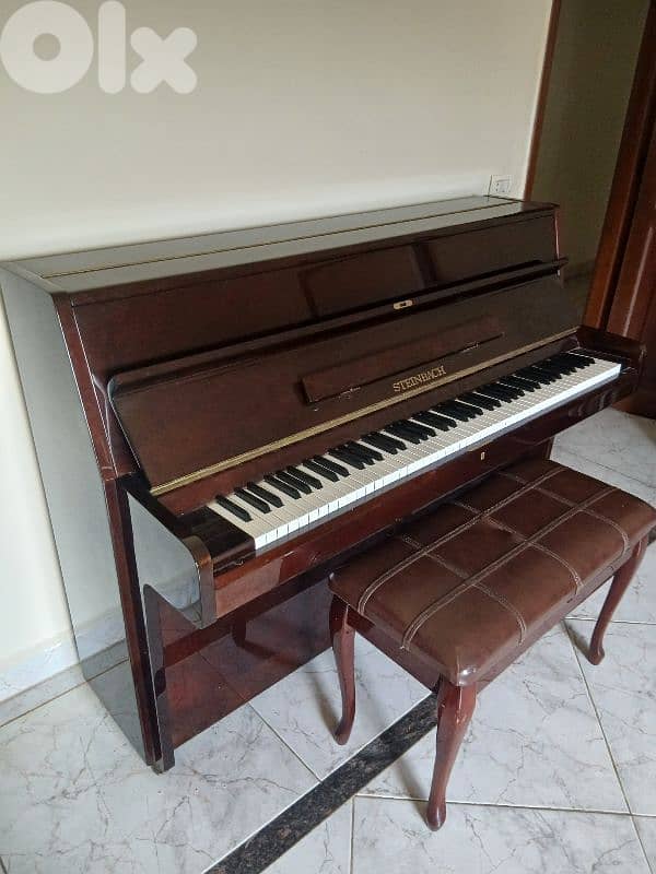 Piano Steinbach 1