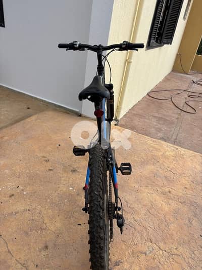 trek bicycle