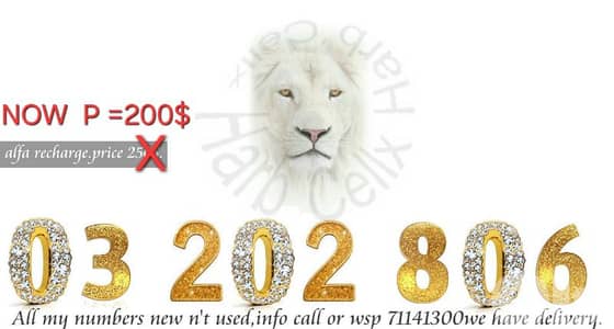 Special number  03 مميز جديد (غير مستعمل) الفا تشريج