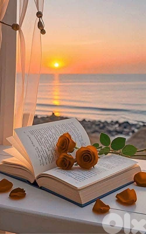 مطابخ المنيوم  وخشب 18