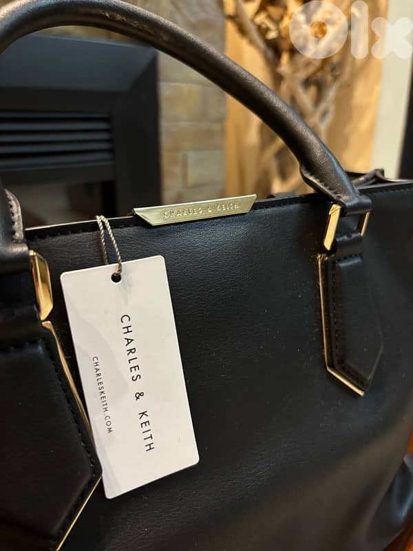 Charles and Keith handbag 1