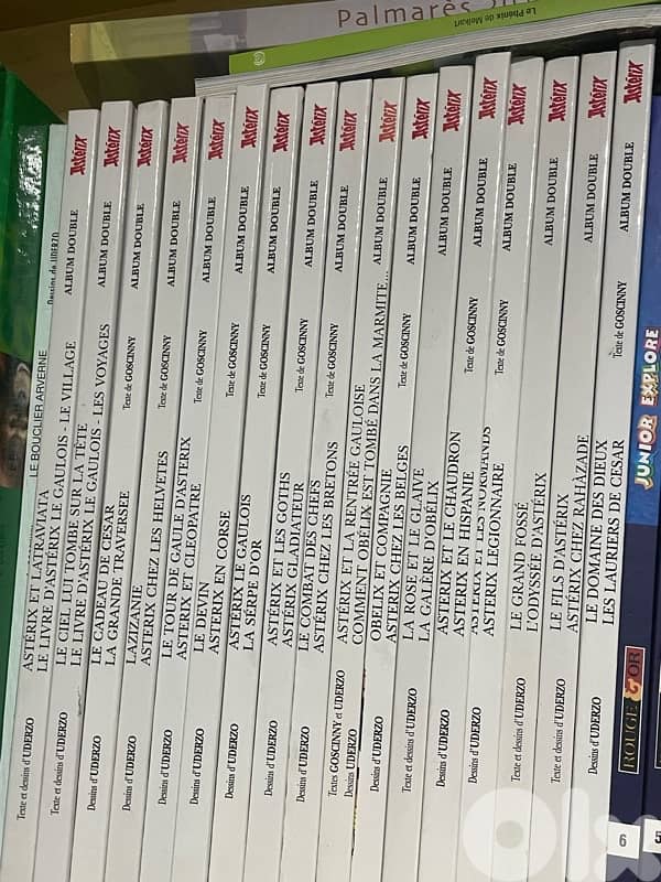 Astérix Album Double Collection – 17 Books (French Edition) 0