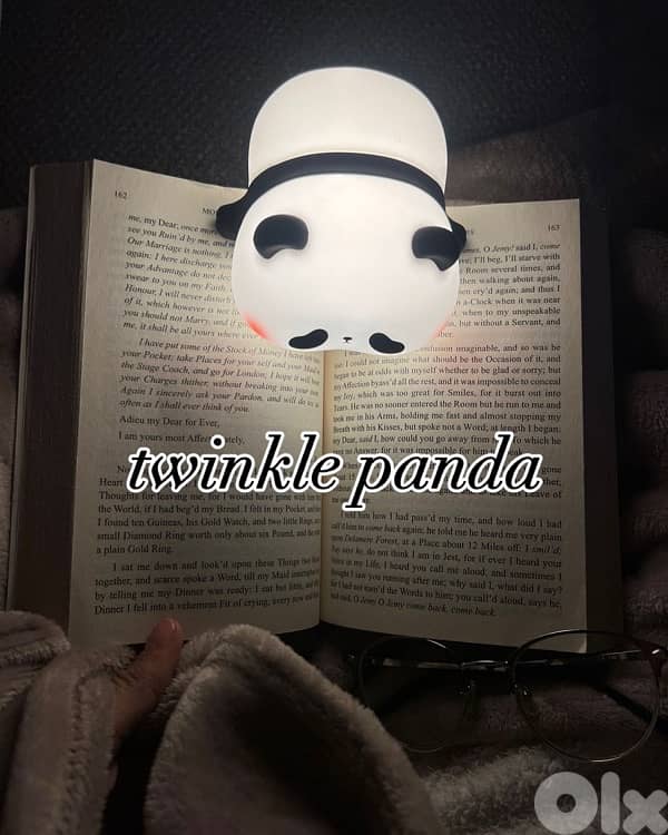 Panda Lamp 1