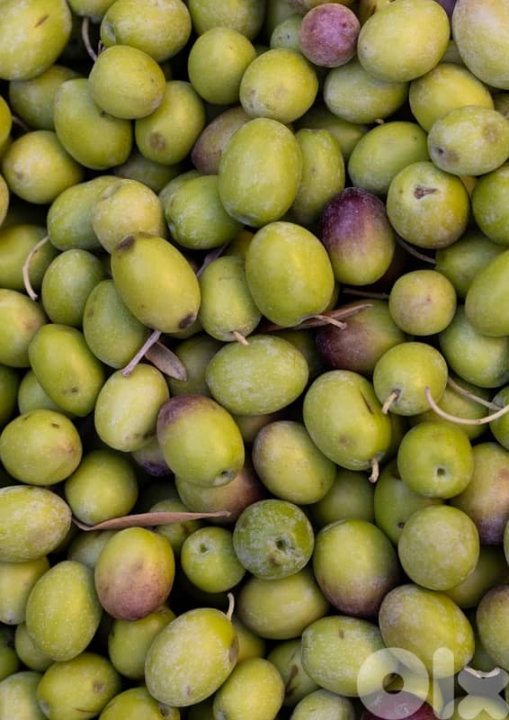 pure extra virgin olive oil 2