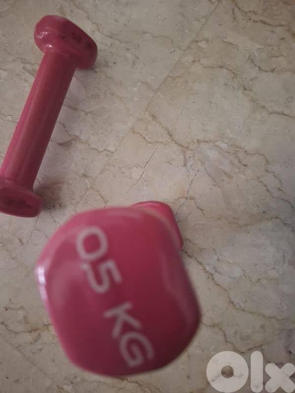 Domyos dumb bells Decathlon 1