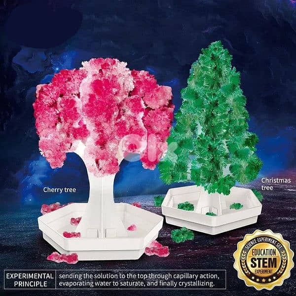 Crystal Trees STEM 4