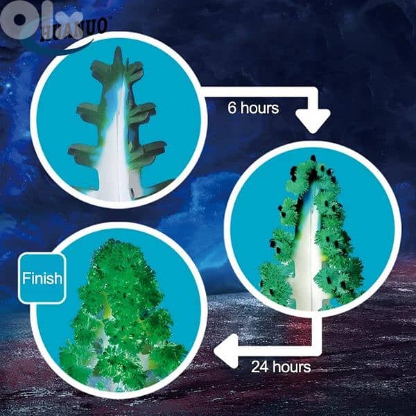 Crystal Trees STEM 5