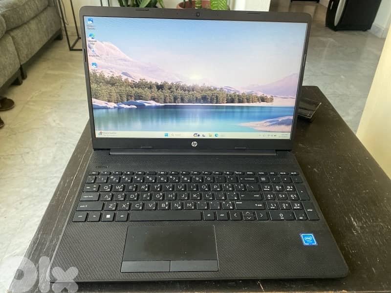 Low budget laptop for business usage 0