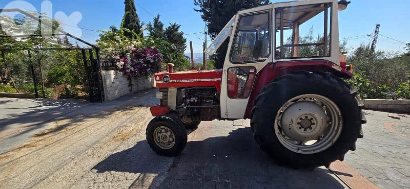 لبنان الجنوب عيتيت قضاء صور 5