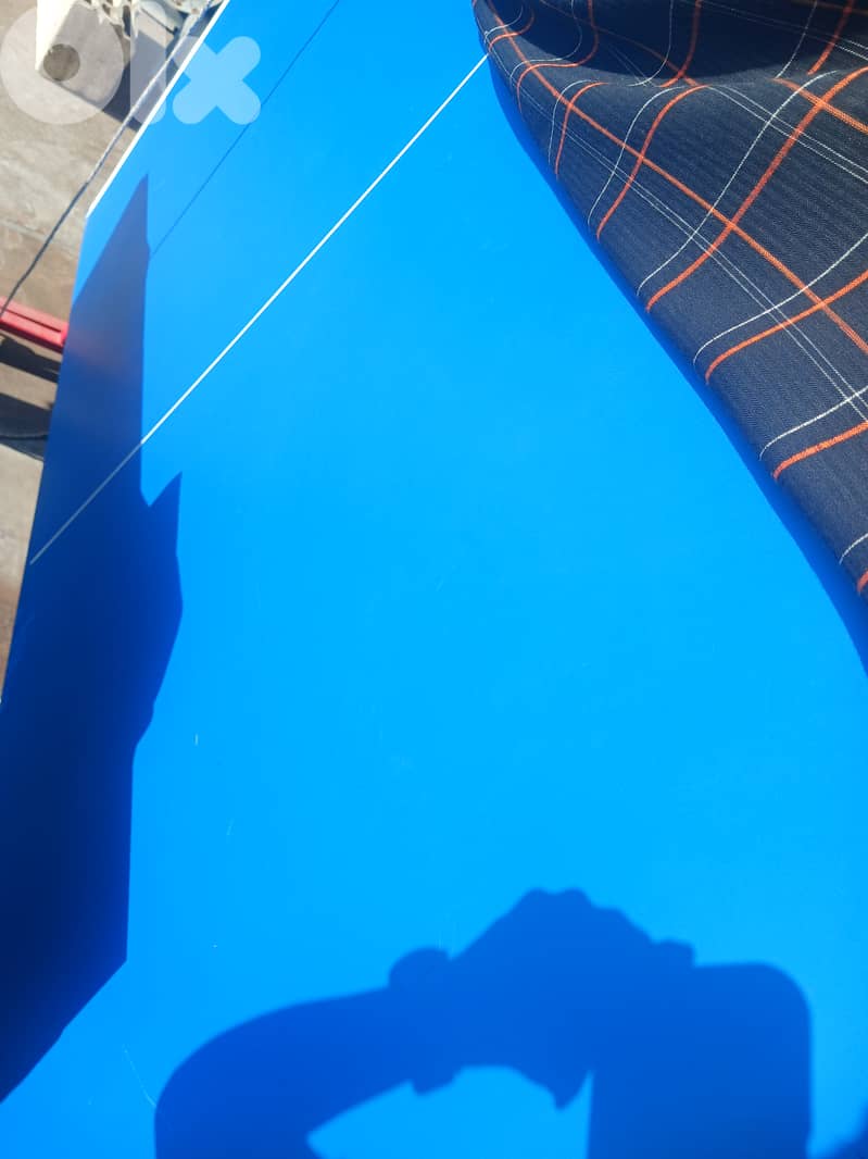 Ping pong table tennis 2
