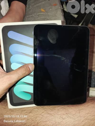 ipad mini 6 mint condition