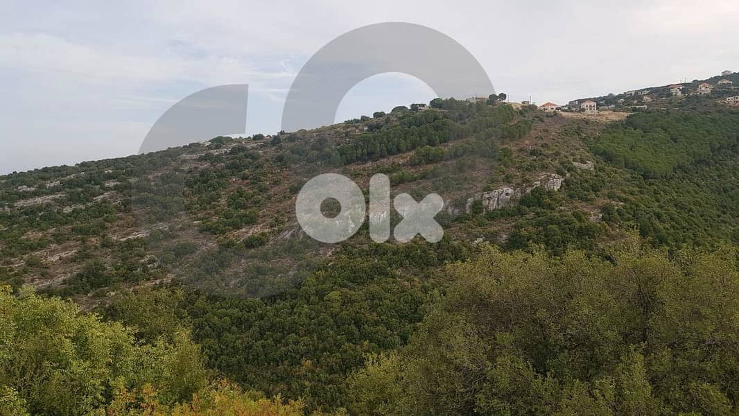 Land for sale in Chabtine - Batroun REF#IN127438 1
