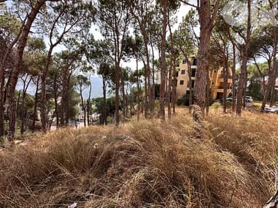 land for sale Mar chaaya hot deal
