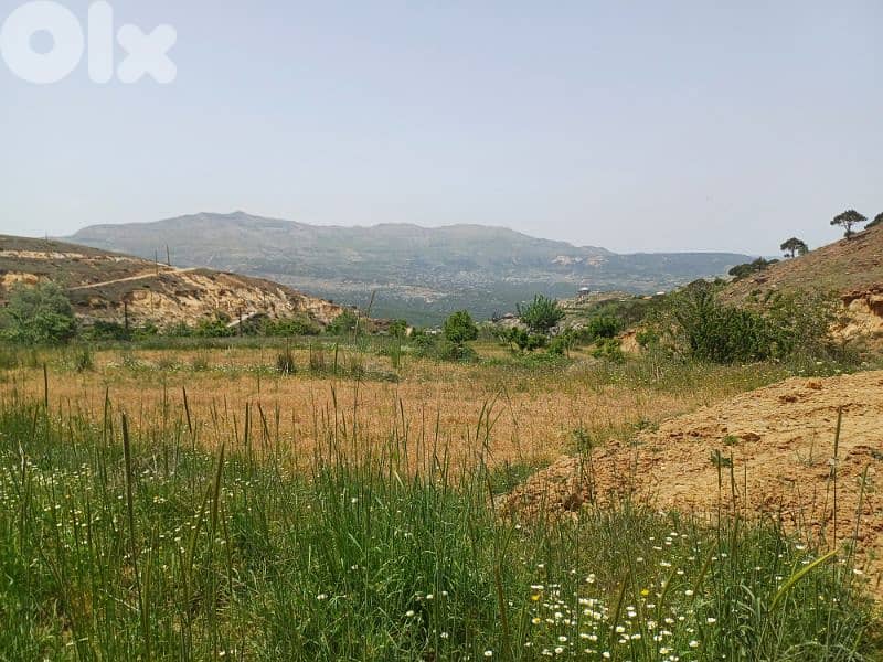 land for sale 1