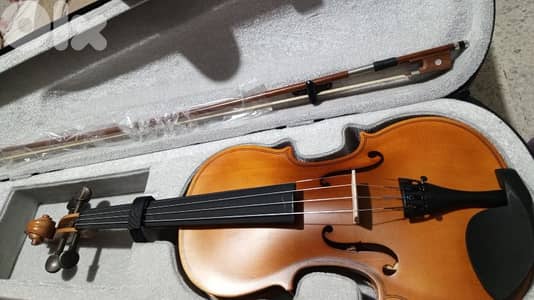 violin