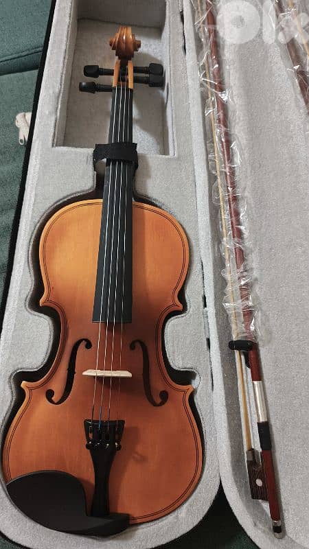violin 5