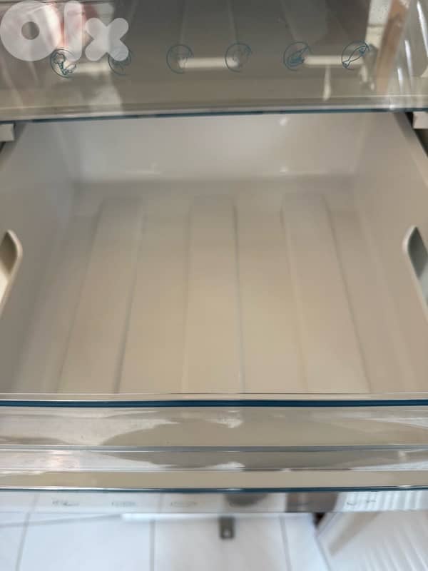 general freezer 2