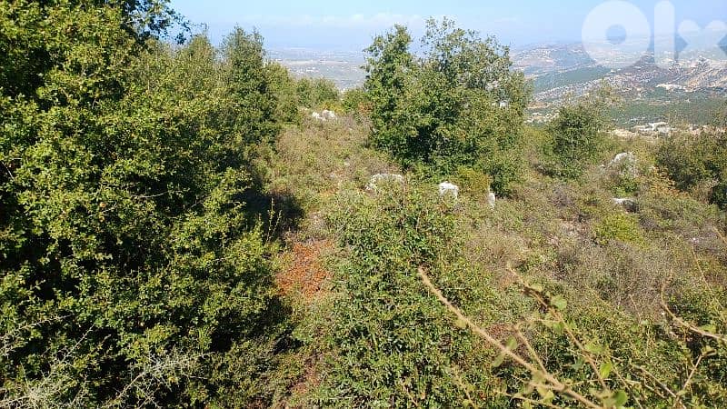 lands for sale in Assia_Batroun أرض للبيع في بلدة أسيا البترونية 1