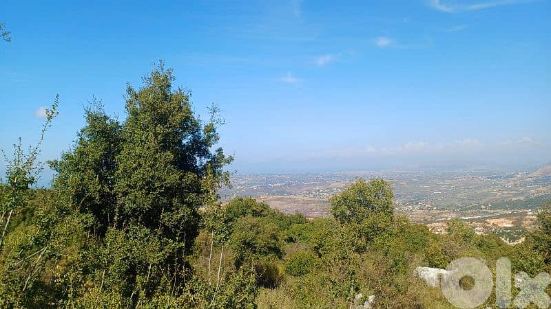 lands for sale in Assia_Batroun أرض للبيع في بلدة أسيا البترونية 3