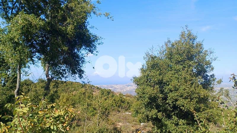 lands for sale in Assia_Batroun أرض للبيع في بلدة أسيا البترونية 4