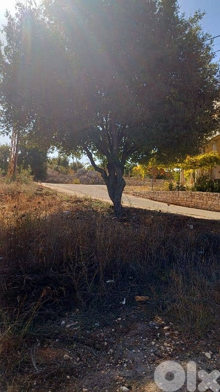 lands for sale in Assia_Batroun أرض للبيع في بلدة أسيا البترونية 5