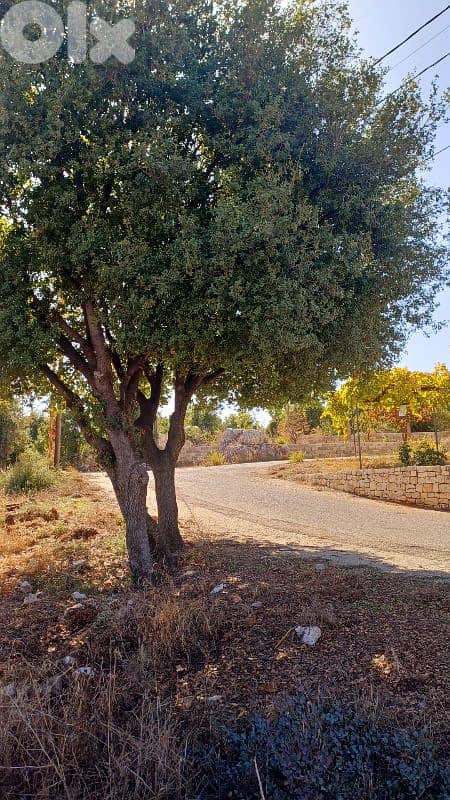 lands for sale in Assia_Batroun أرض للبيع في بلدة أسيا البترونية 6