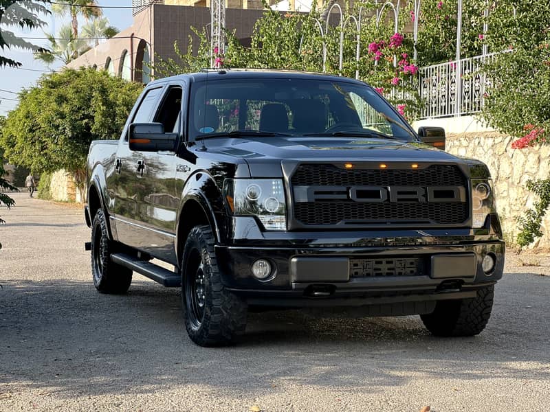 Ford F-150 2010 0