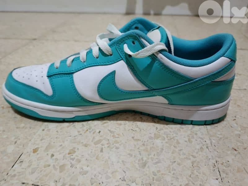 Nike Dunk 1