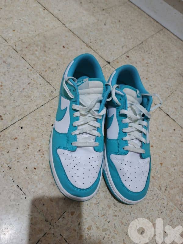 Nike Dunk 4