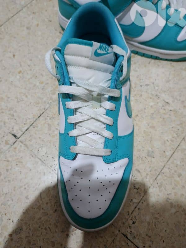 Nike Dunk 5