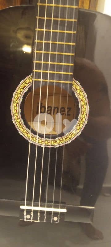 guitar Ibanez 3