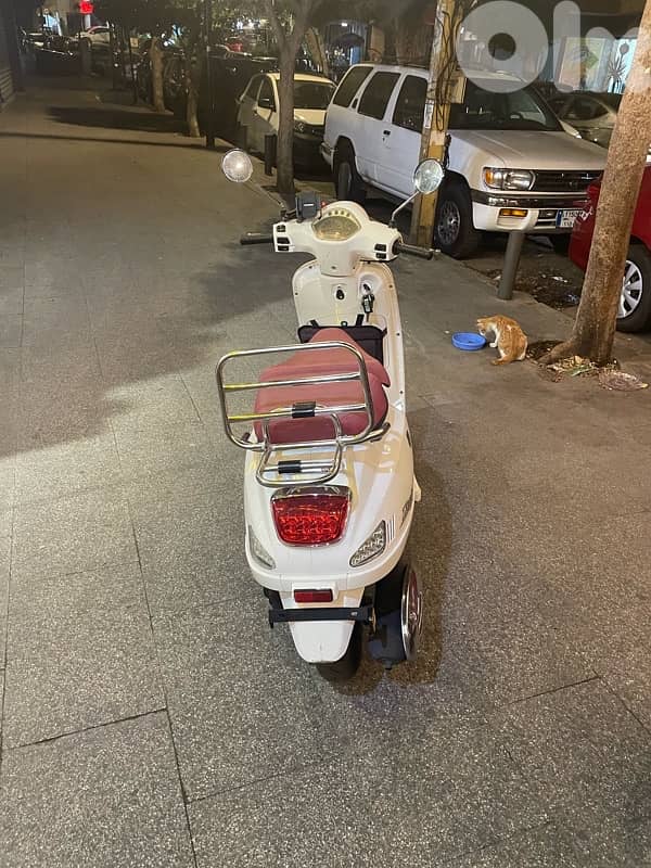 maple 150cc 2022 2