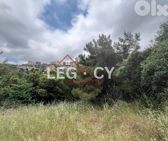 Residential Land For Sale In Kornet Chehwan 0